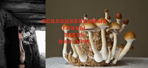 марихуана Володарск