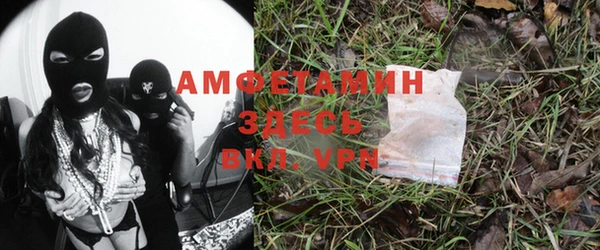 ПСИЛОЦИБИНОВЫЕ ГРИБЫ Вязьма