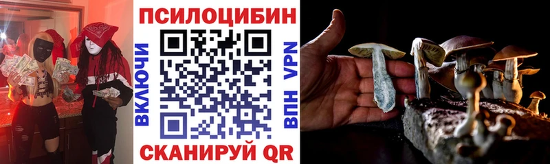Галлюциногенные грибы Psilocybe  закладки  Нестеровская 