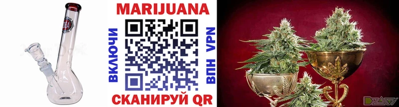 Каннабис индика  ОМГ ОМГ   Нестеровская 